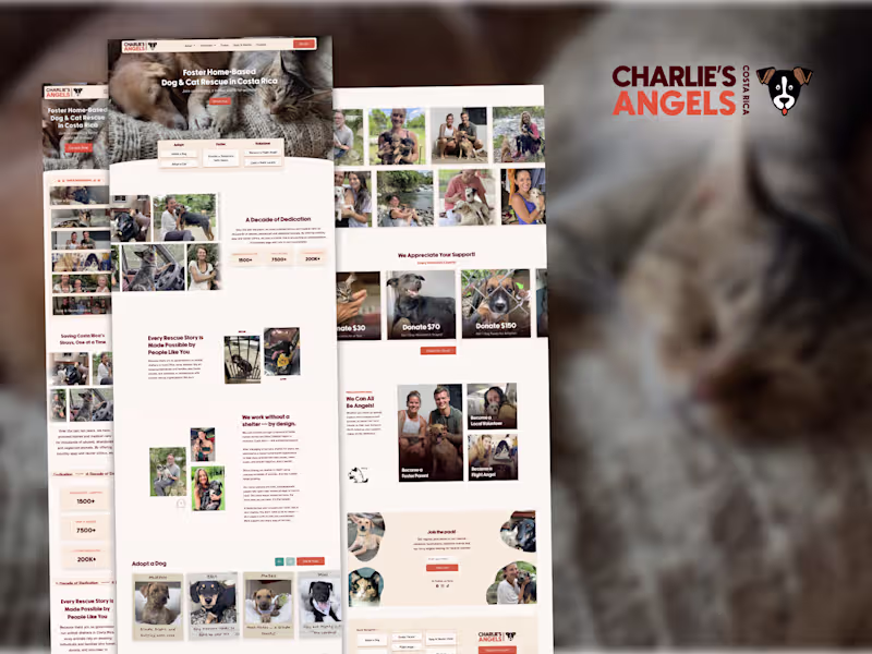 Cover image for Charlie's Angels | Foster Home-Based Dog & Cat Rescue