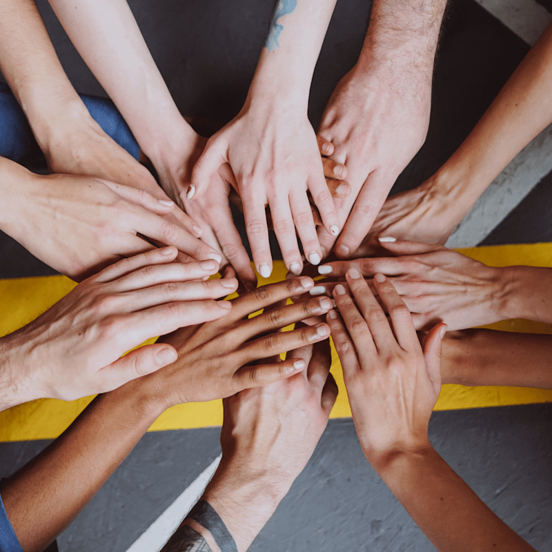 Cover image for Integrating Support into the Company Vision