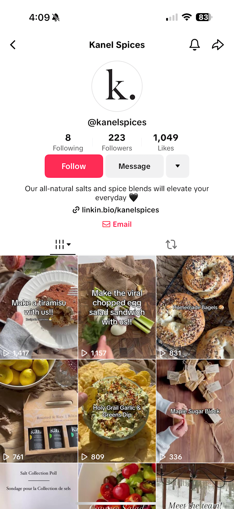 Cover image for Kanel Spices TikTok Strategy & Content Creation