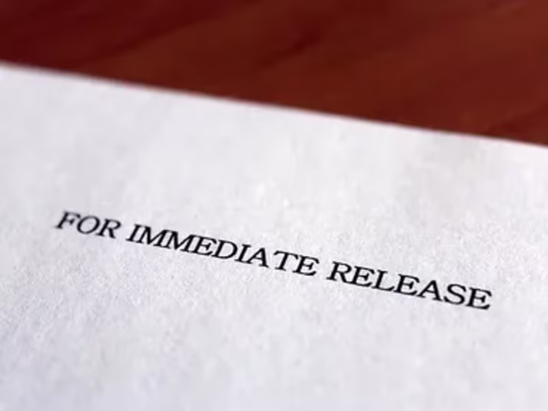 Cover image for Let me write your Press Release!