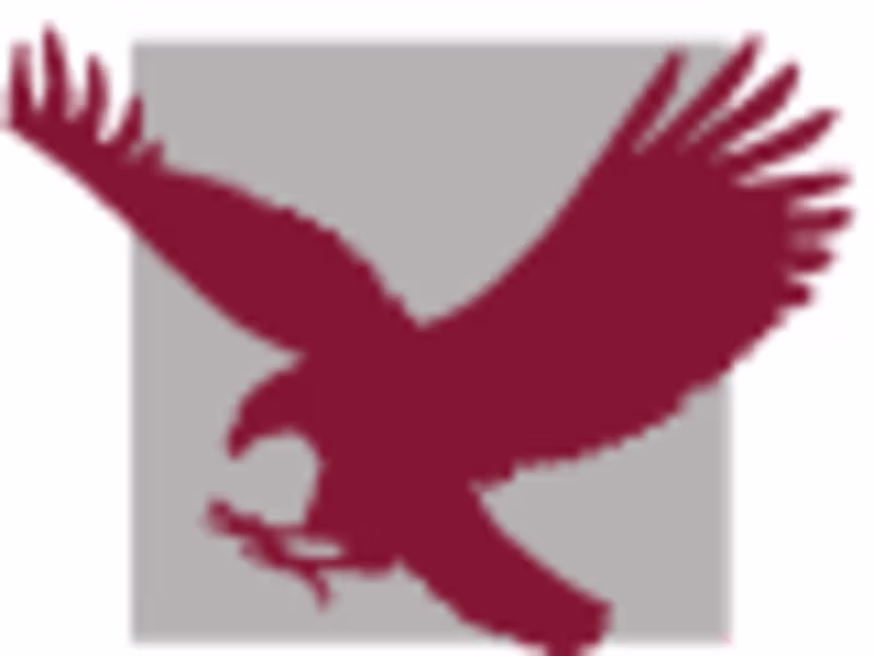 Cover image for Compensation Review and HR System Implementation