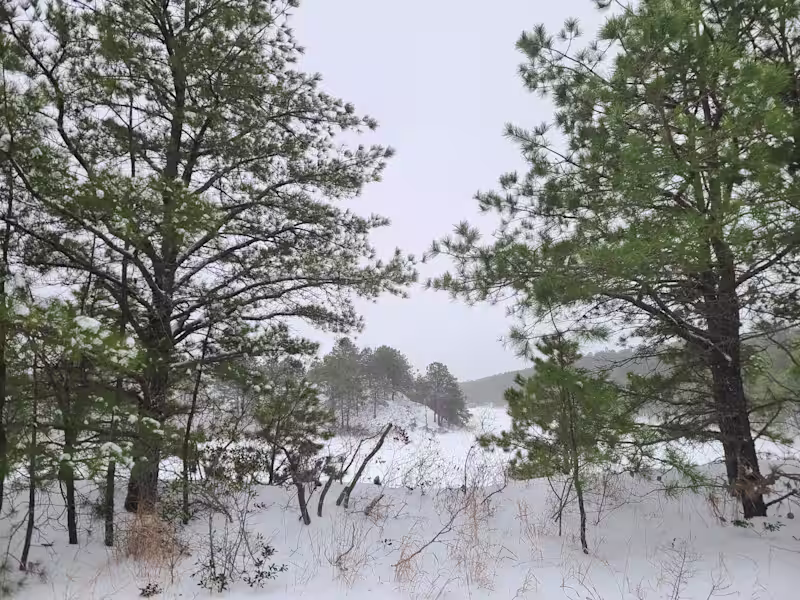 Cover image for I have been working on