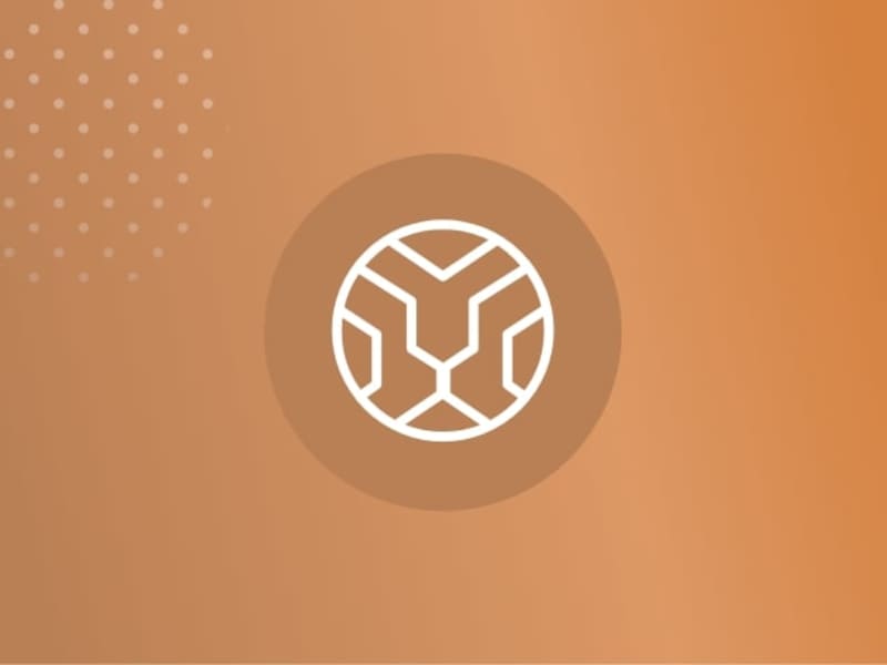 Cover image for Omadli Group