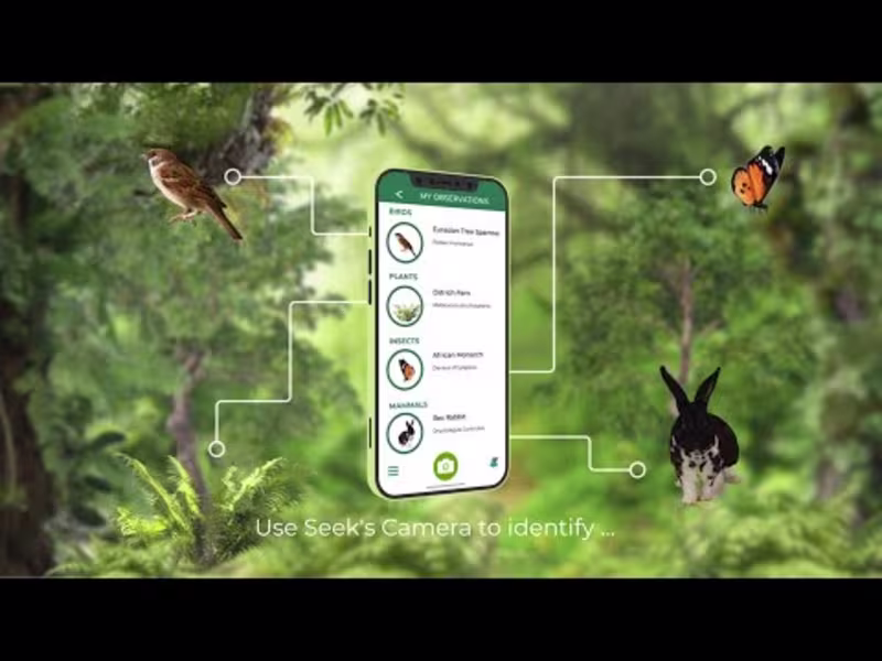 Cover image for Seek app promo