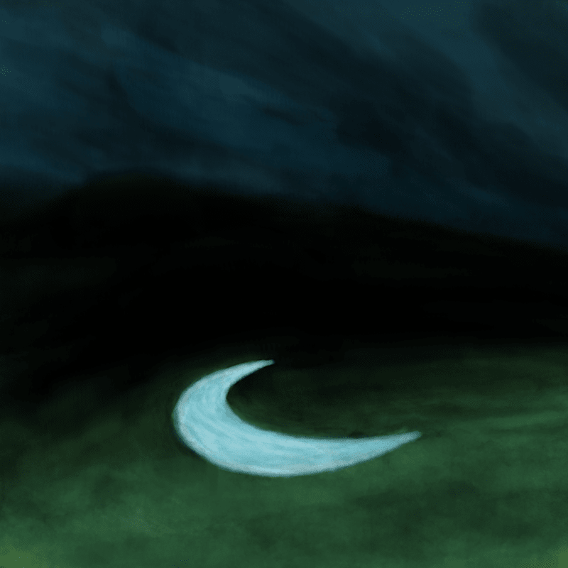 Cover image for Illustrations (2024)