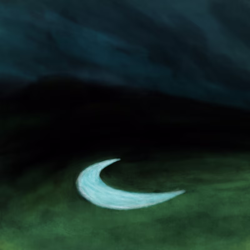 Cover image for Illustrations (2024)