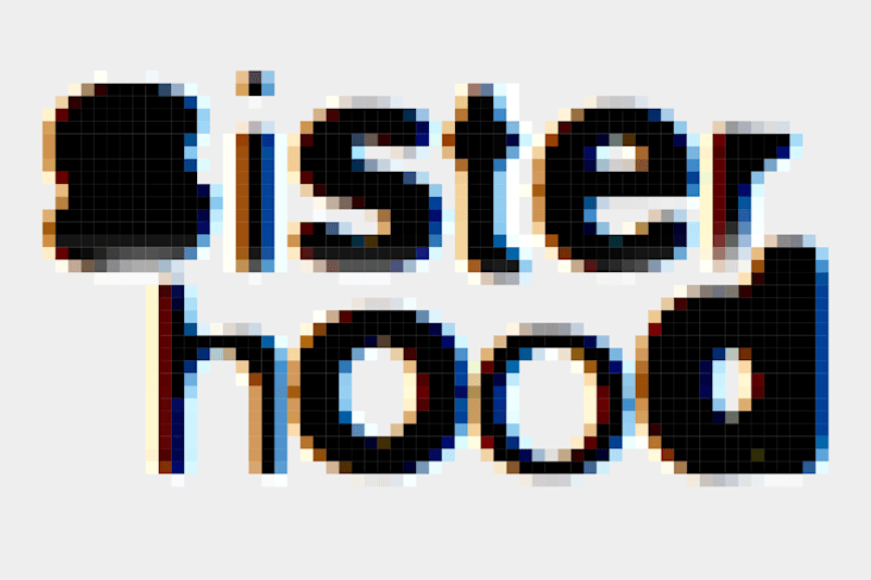 Cover image for sister-hood brand consultation & identity system dev