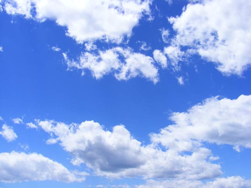 Cover image for Tech Based Blog for a Company