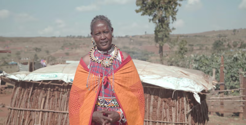 Cover image for Lucy, the matriarch of her