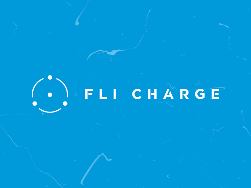Cover image for FliCharge: Bridging B2B and B2C Markets with Strategic Branding