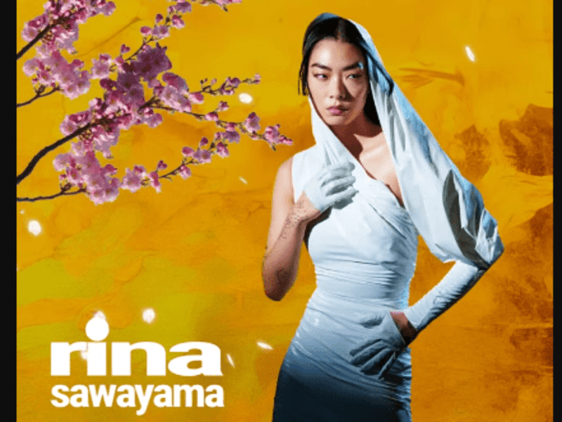 Cover image for Animated Flyer