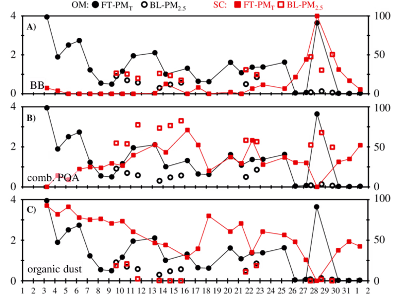 Cover image for Project on Anomaly Detection using Graph Neural Networks