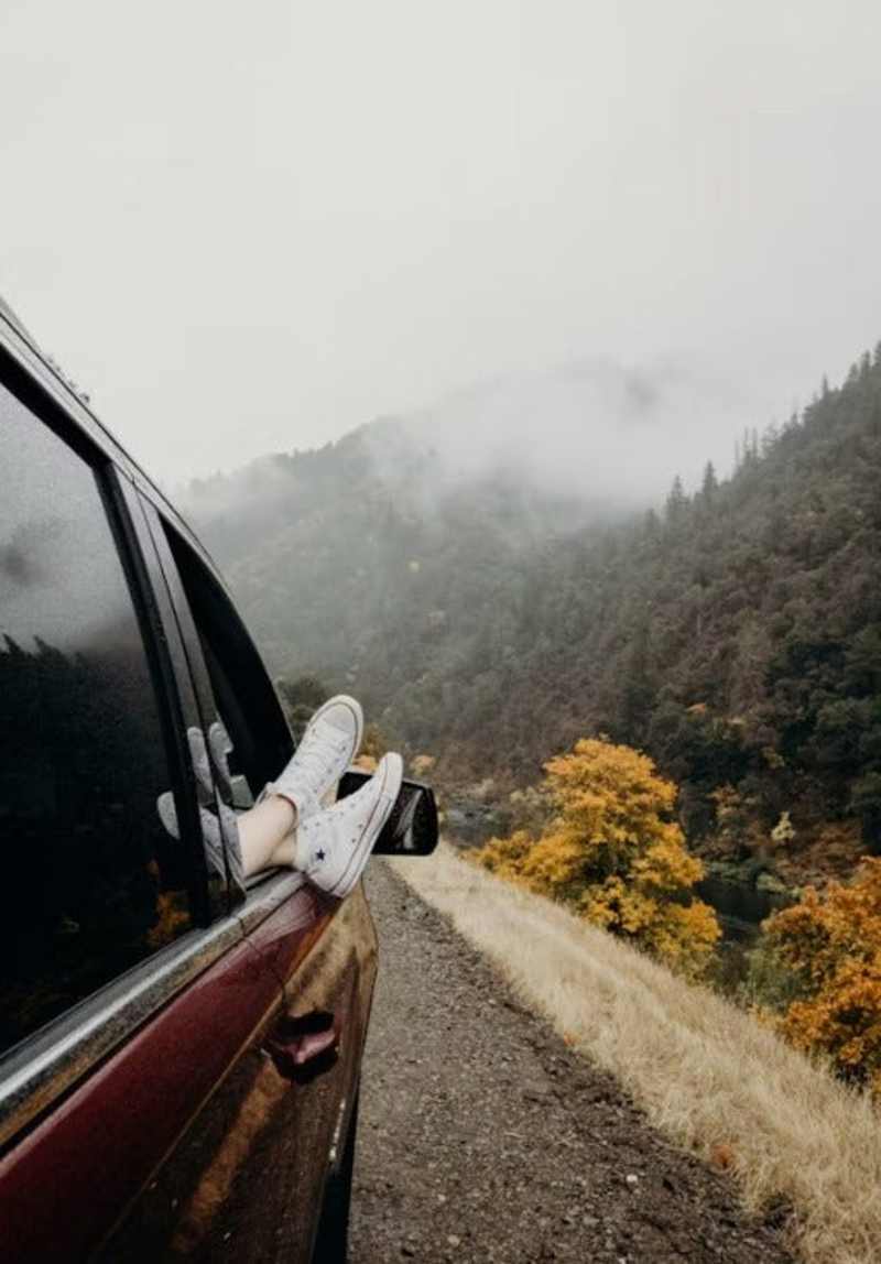 Cover image for Insider Travel Tips Guide for Wakalost