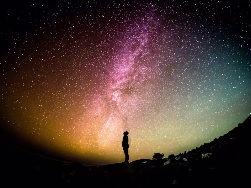 Cover image for In an Alternate Universe