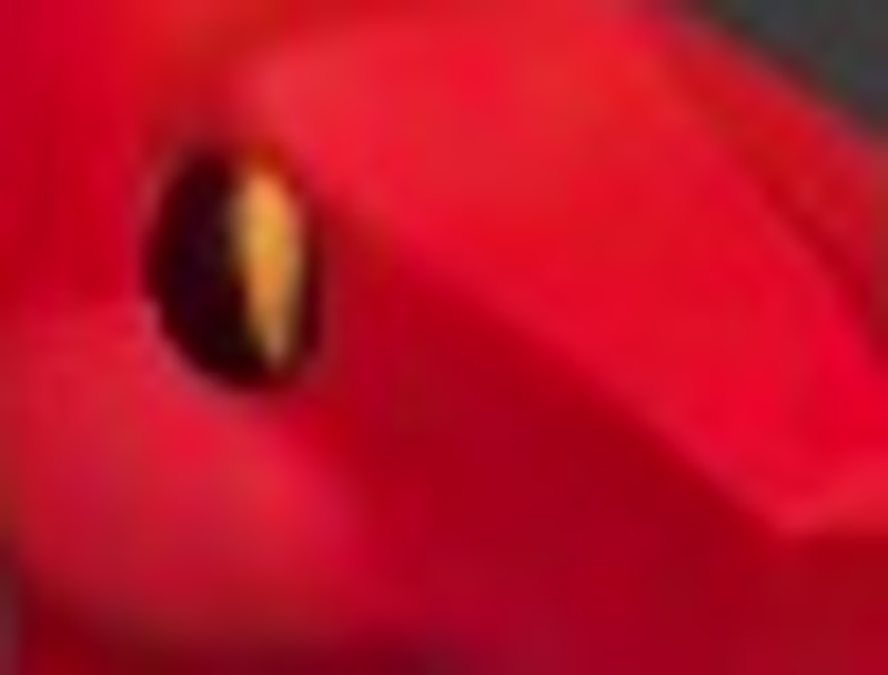 Cover image for Will yap about your music, and be your number 1 hater for money.