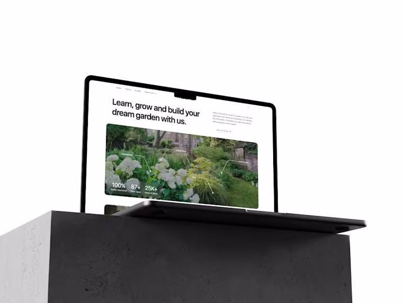 Cover image for Website Development