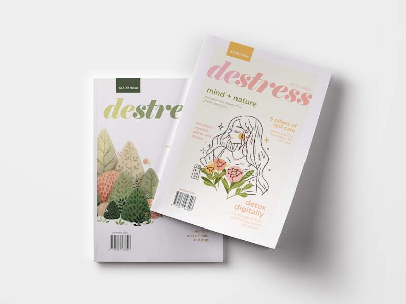 Cover image for Destress Reimagined