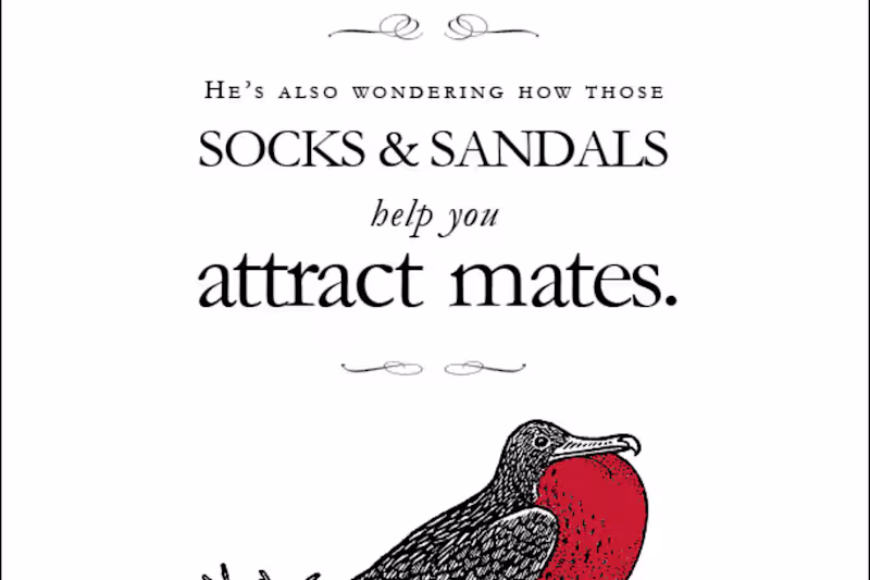 Cover image for Galapagos Islands Spec Print Ad Campaign