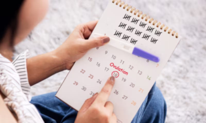 Cover image for Parenting Point 