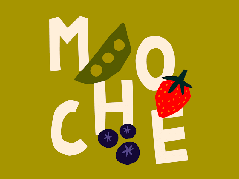 Cover image for Branding Design - Moche