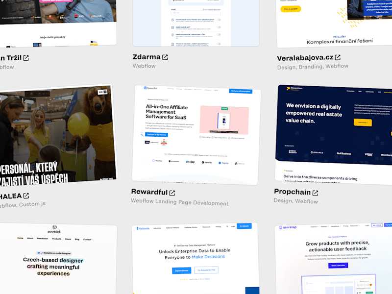 Cover image for Custom Webflow landing pages designed to convert