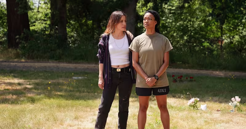 Cover image for Queen of the Ring