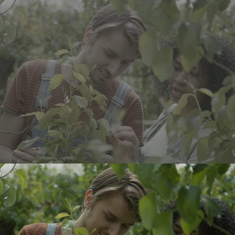 Cover image for Color Grading Journey with Kevin Kessels