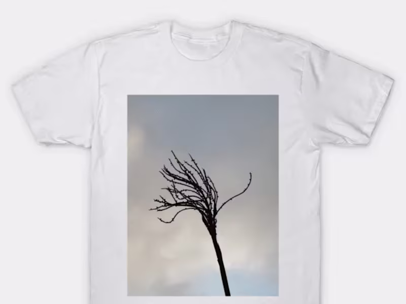 Cover image for EteriskDesigns