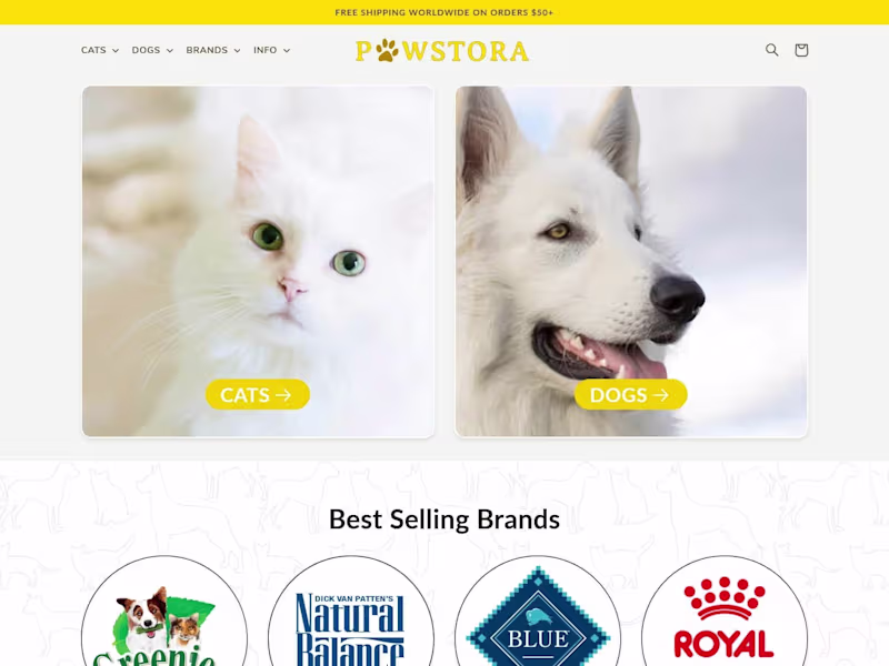 Cover image for Vision to Reality: Building Pawstora's Store 