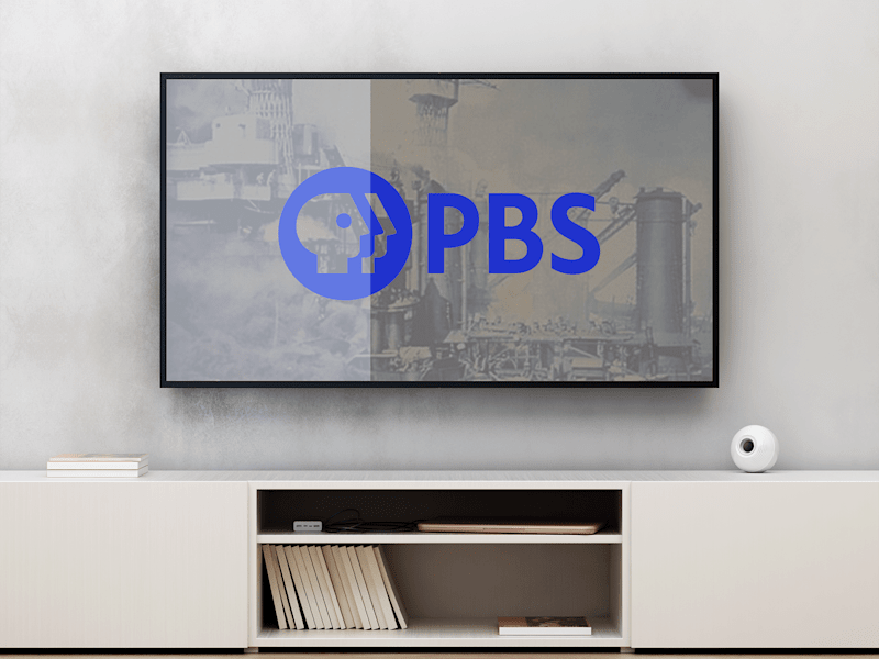 Cover image for Empowering Change: Public Broadcasting Service