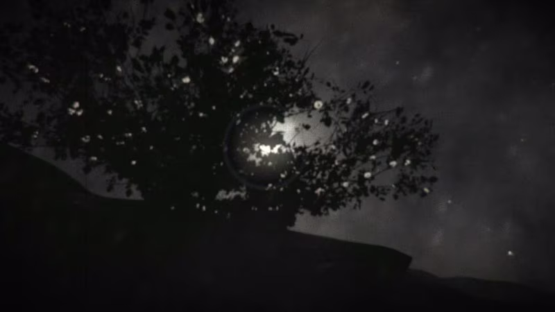 Cover image for The Tree in the Storm