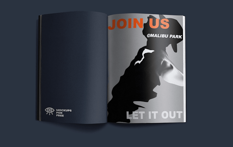 Cover image for GRAPHIC DESIGNS