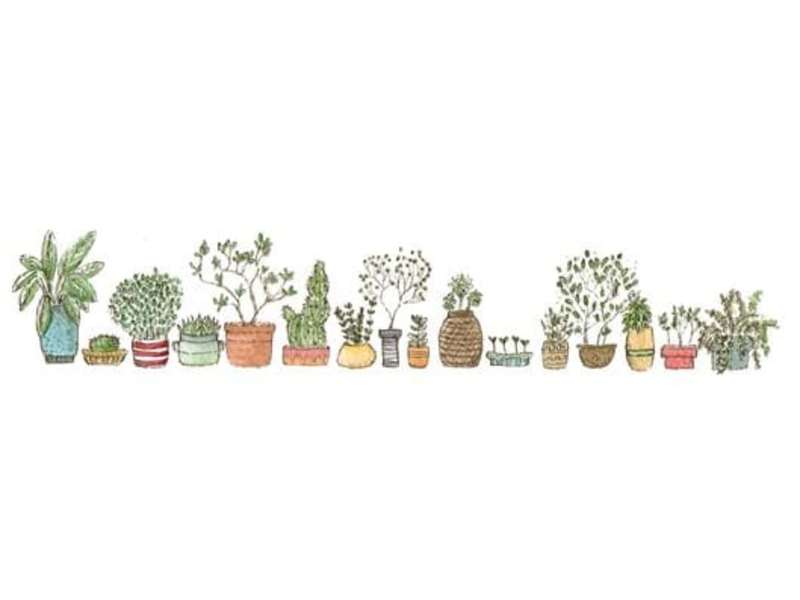 Cover image for Article: Nature Clubs