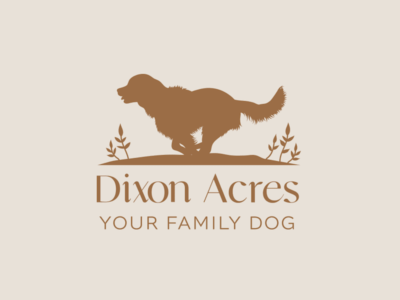 Cover image for Dixon Acres Rebranding