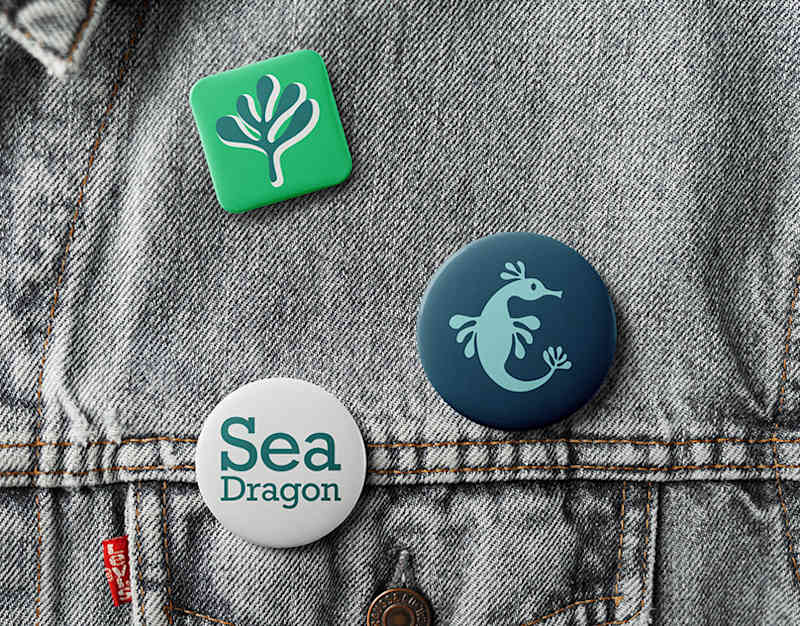Cover image for Seadragon Publishing: Brand Identity