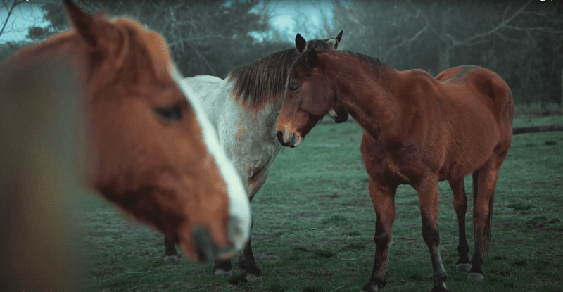 Cover image for Coors Light Comm VO - YouTube