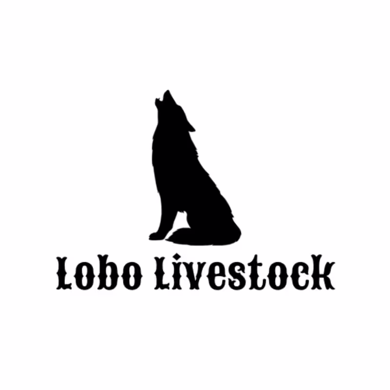 Cover image for Lobo Livestock