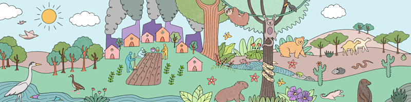 Cover image for Animation for Environmental Day - UNDP