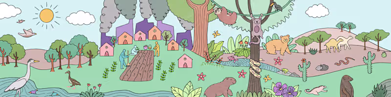 Cover image for Animation for Environmental Day - UNDP