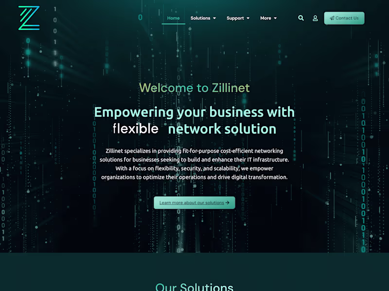 Cover image for Zillinet - Networking Solutions Website Development