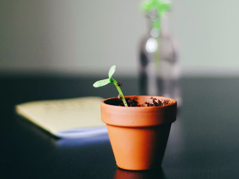 Cover image for Go-to-Market Strategy Development