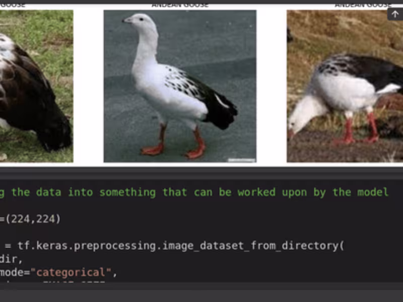 Cover image for GitHub - Adstefnum/ornithist: A bird classifier model API serve…