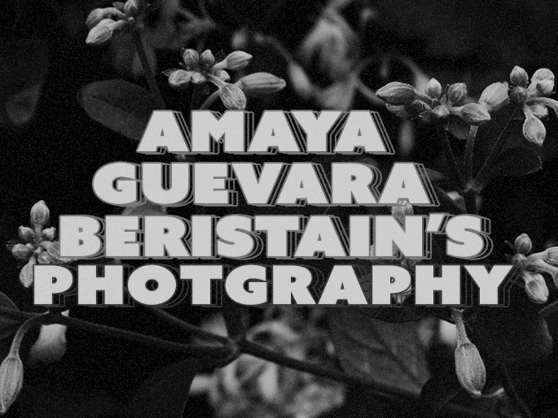 Cover image for Photography | Amaya's Photographs