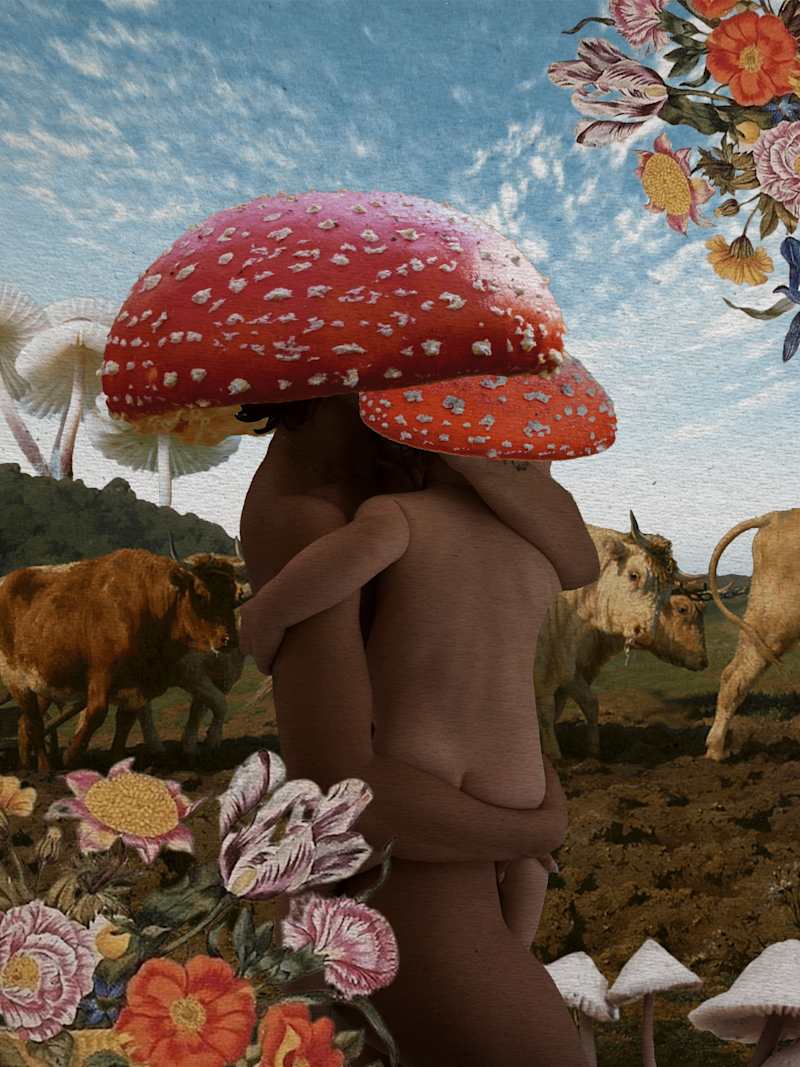 Cover image for Digital Collages | Personal Project