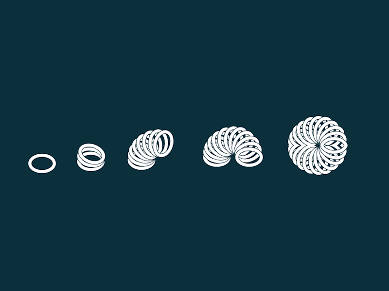 Cover image for Brand Blueprint | Visual Identity for Hewwi