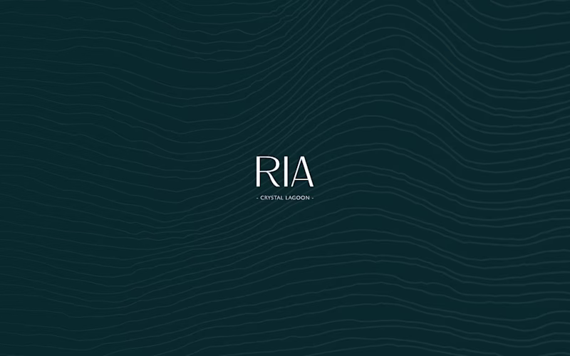 Cover image for RIA