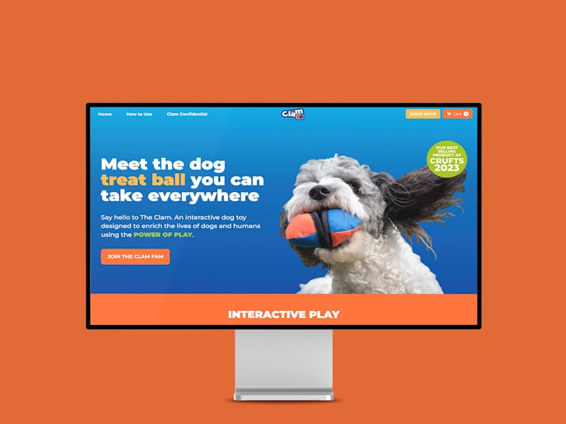 Cover image for Design a amazing webflow website that enagages your audience