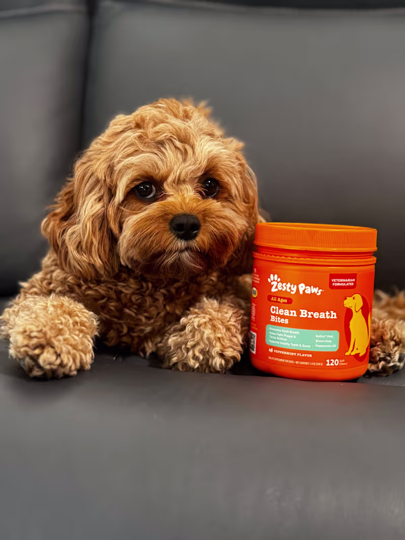 Cover image for Standard Video Package