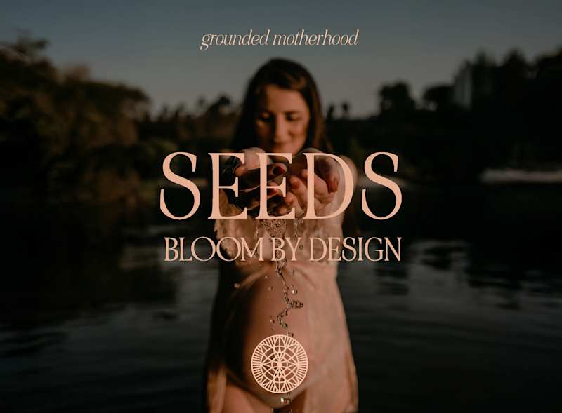 Cover image for Seeds ~ Brand Design and Discovery