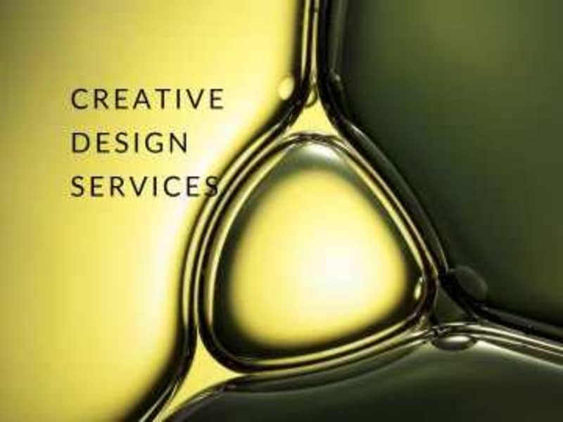 Cover image for Transform Your Brand with Stunning Visuals